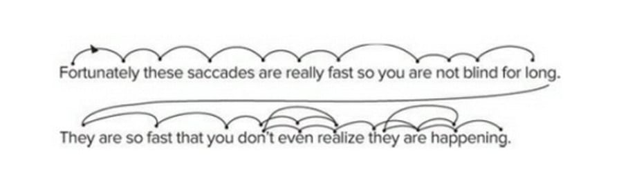 How people read showing saccades and eye movements